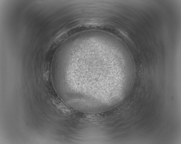 X0000078231015200611101004