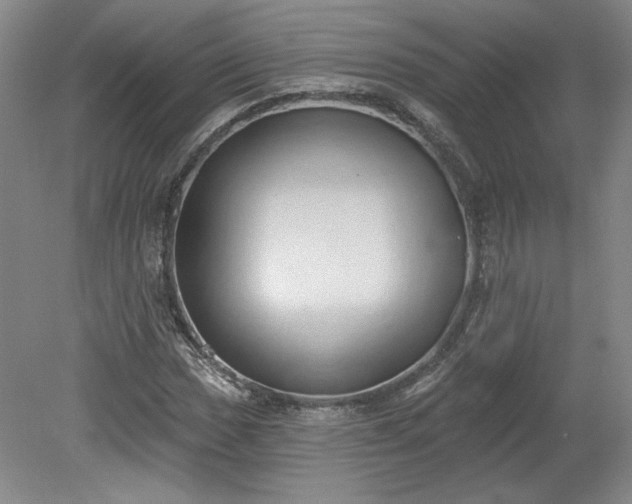 X0000078231017200611101004