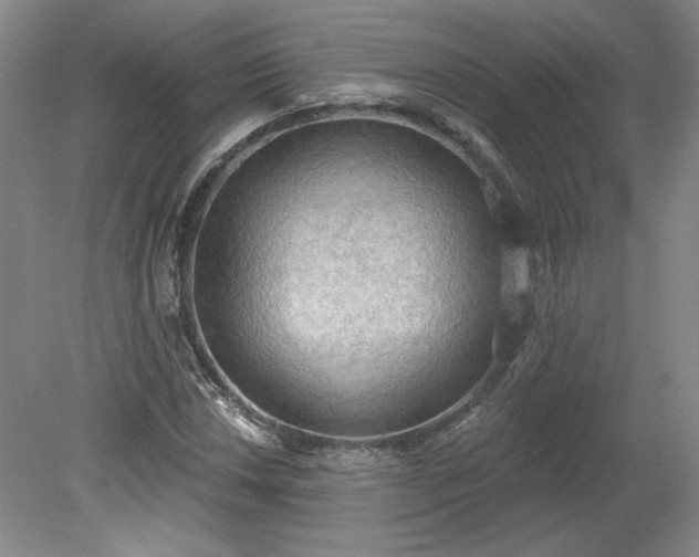 X0000078231018200611101004
