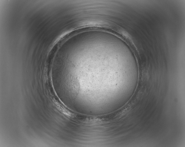 X0000078231019200611101004