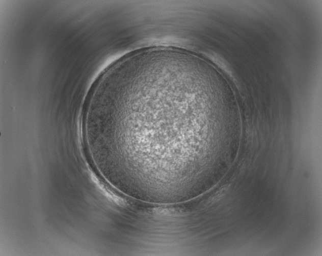 X0000078231032200611101004