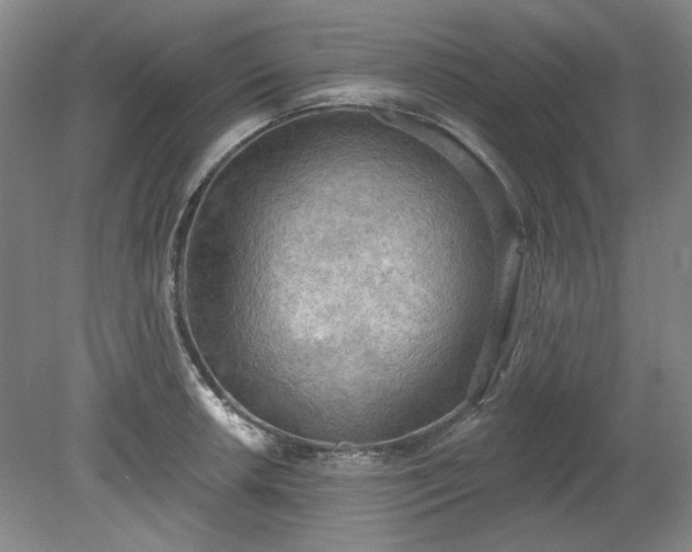 X0000078231042200611101004