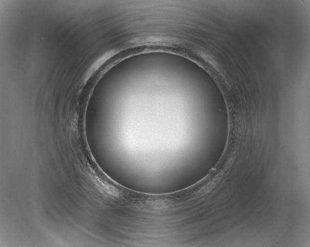 X0000078231066200611101003