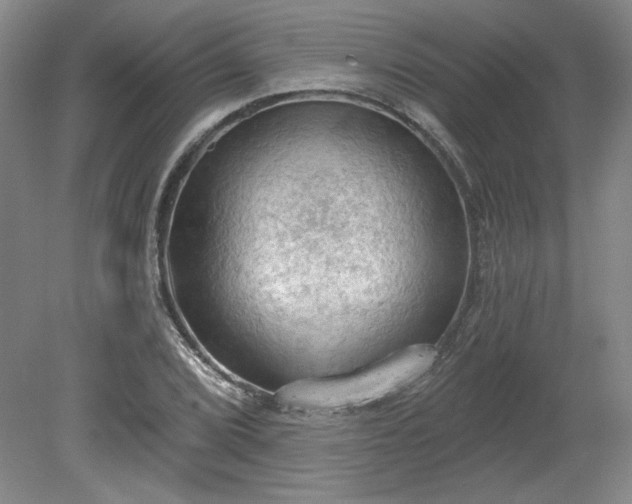 X0000078231072200611101003