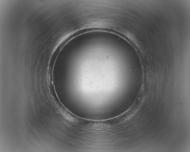 X0000078231077200611101003