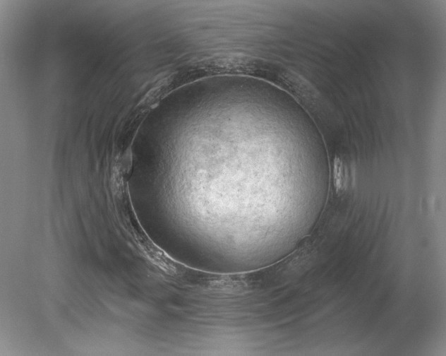 X0000078231107200611101002