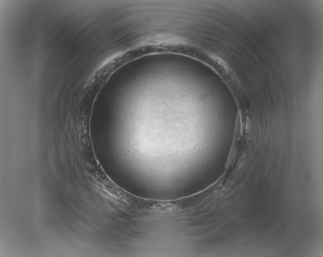 X0000078231112200611101002