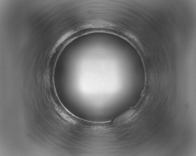 X0000078231114200611101002