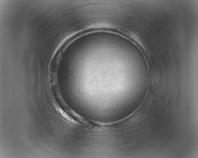 X0000078231116200611101002