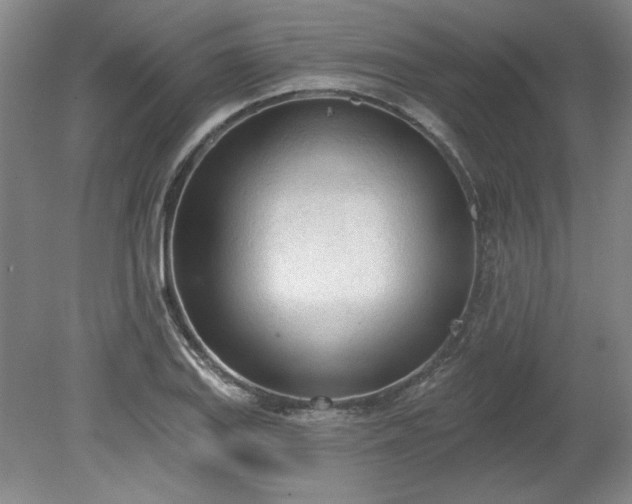 X0000078231127200611101002