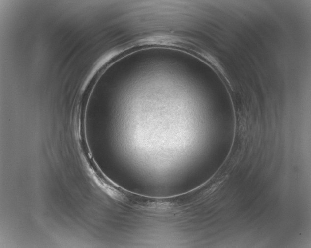 X0000078231131200611101002