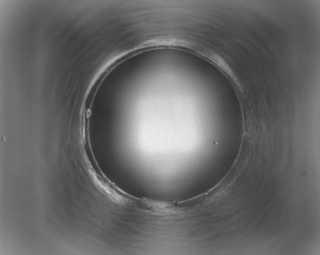 X0000078231132200611101002