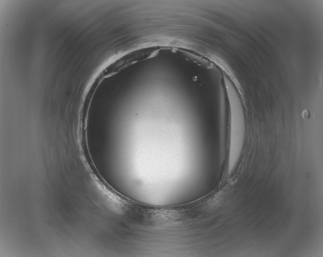 X0000078231136200611101003