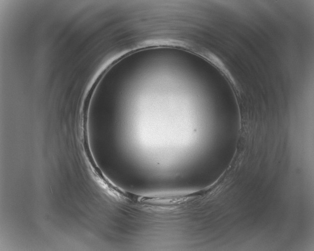 X0000078231140200611101003