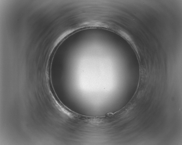 X0000078231141200611101003
