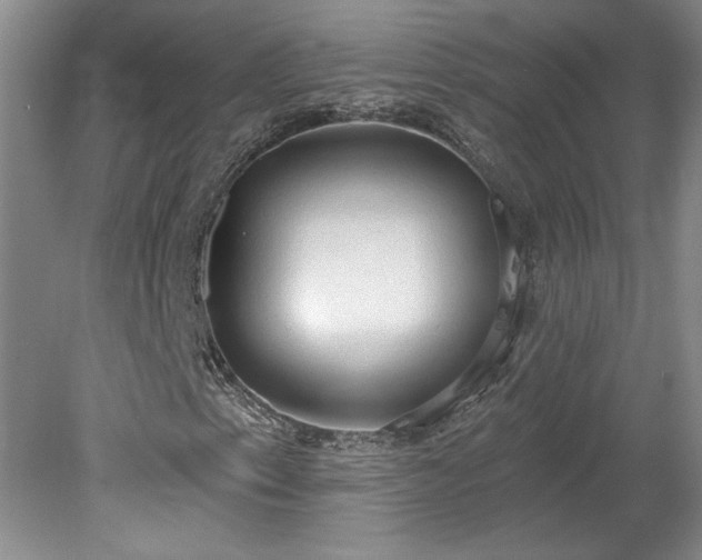 X0000078231153200611101002