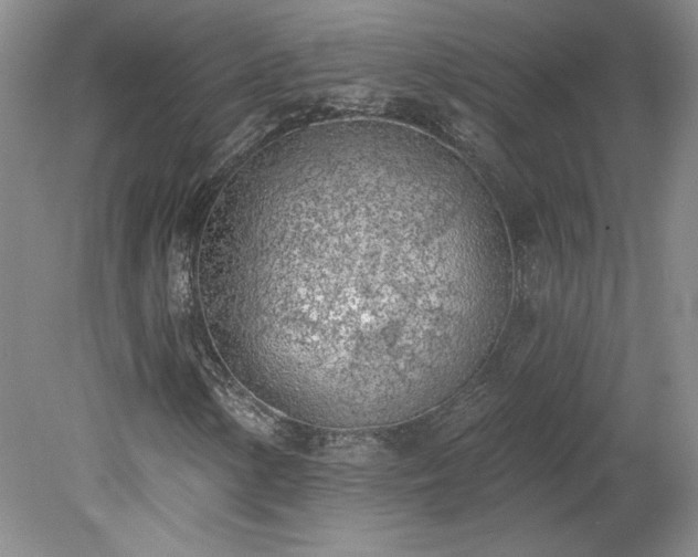 X0000078231154200611101002