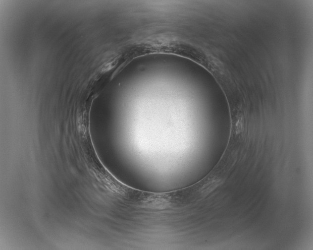 X0000078231156200611101002