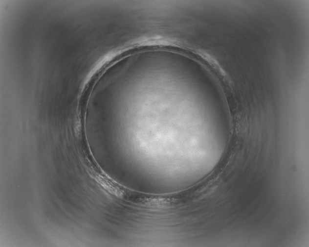 X0000078231167200611101002