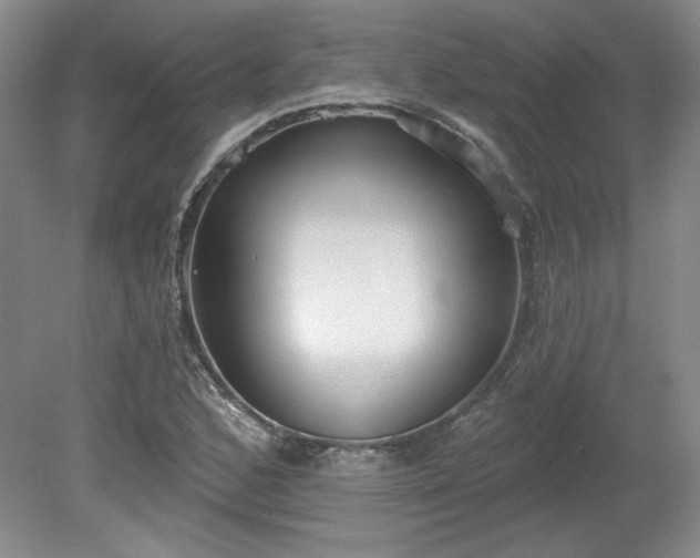 X0000078231168200611101002