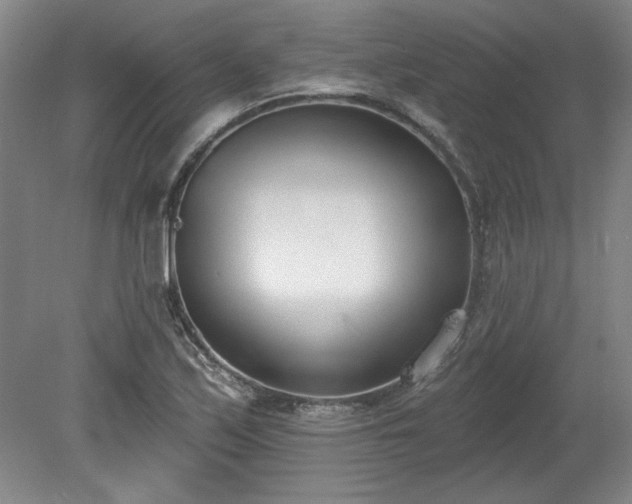 X0000078231171200611101002