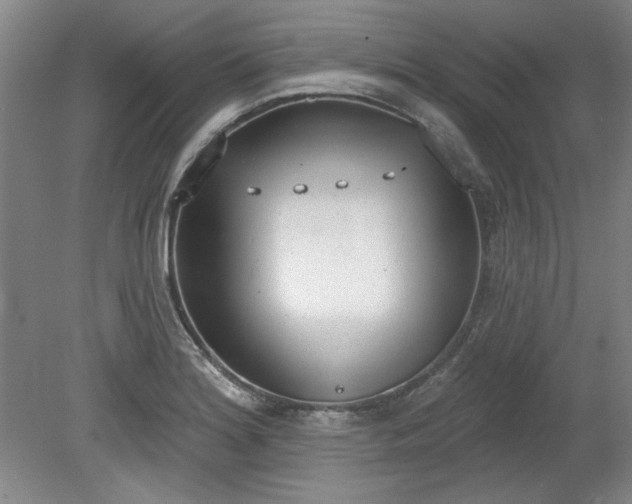 X0000078231180200611101002