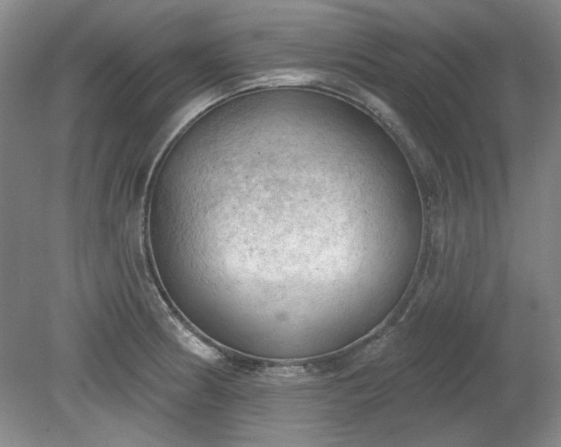 X0000078231186200611101001