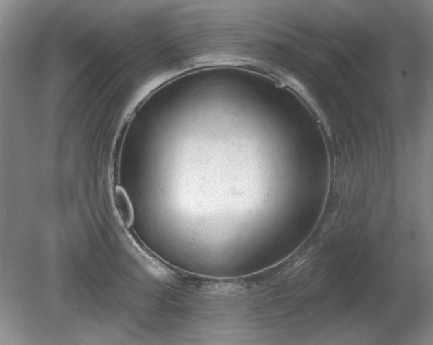 X0000078231187200611101001