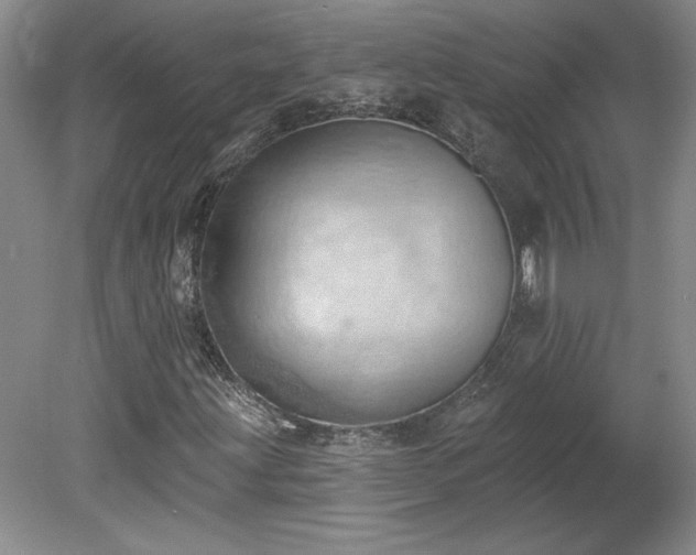 X0000078231203200611101000