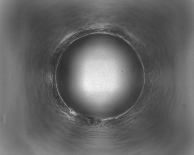 X0000078231206200611101000