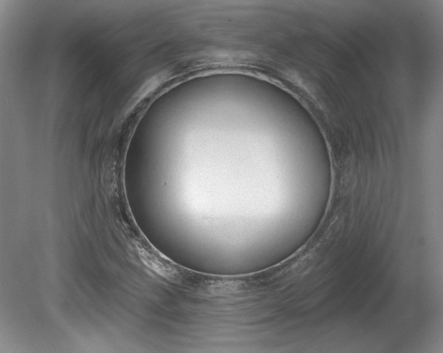 X0000078231211200611101001