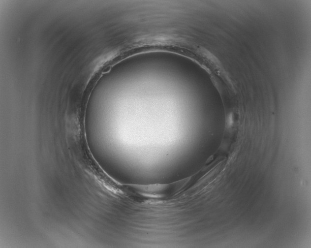 X0000078231218200611101001