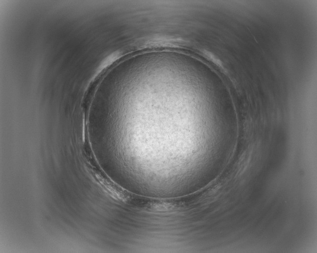 X0000078231219200611101001