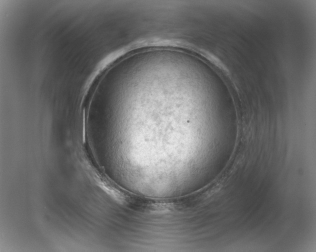 X0000078231223200611101001