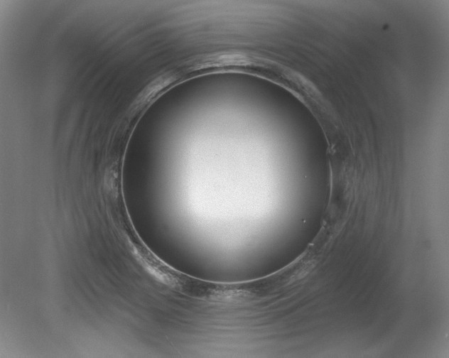 X0000078231225200611101001
