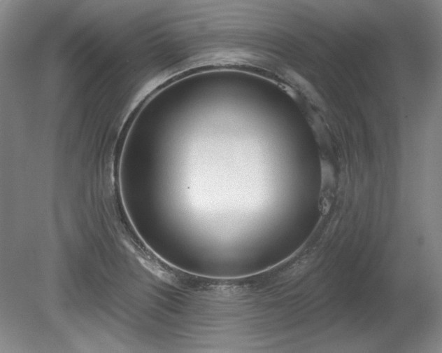 X0000078231226200611101001