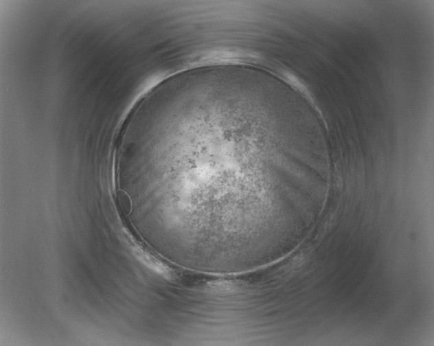X0000078231227200611101001