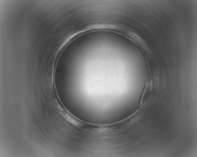 X0000078231228200611101001