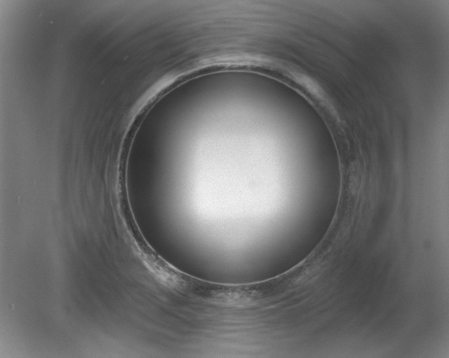 X0000078231229200611101001
