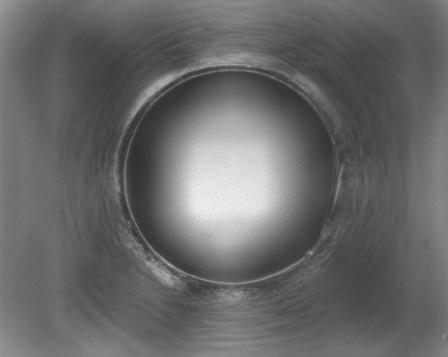 X0000078231230200611101001