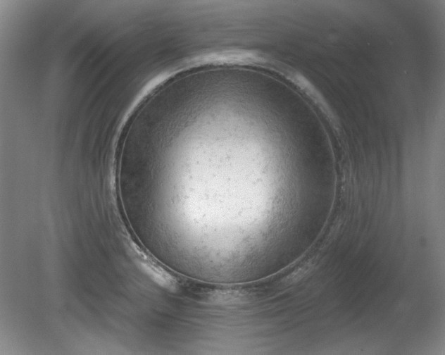 X0000078231232200611101001