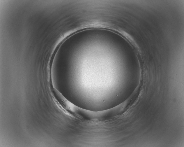 X0000078231238200611101001