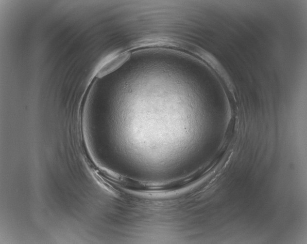 X0000078231242200611101001
