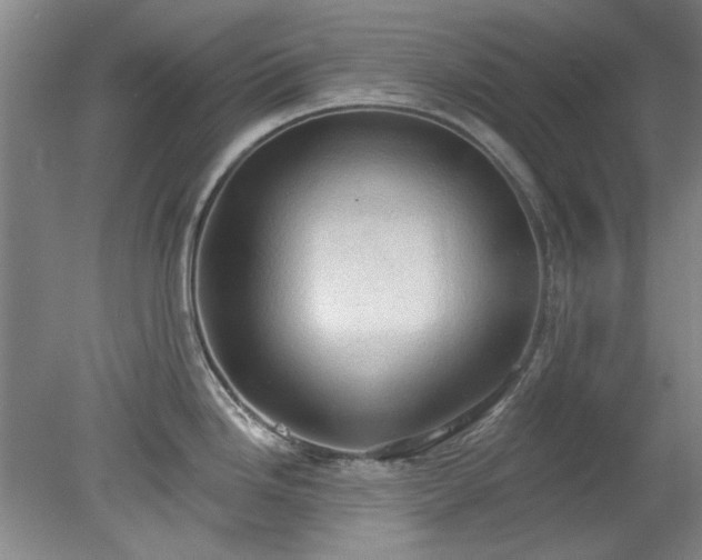 X0000078231246200611101001