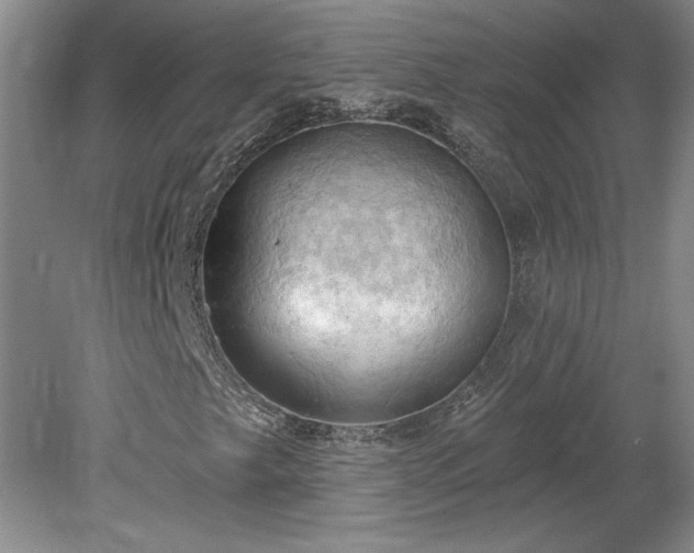 X0000078231249200611101000