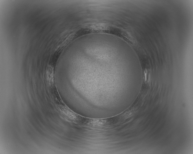 X0000078231251200611101000