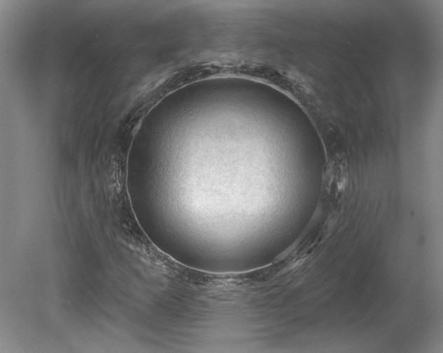 X0000078231253200611101000