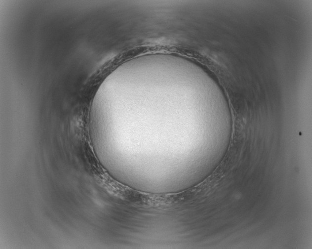 X0000078231254200611101000
