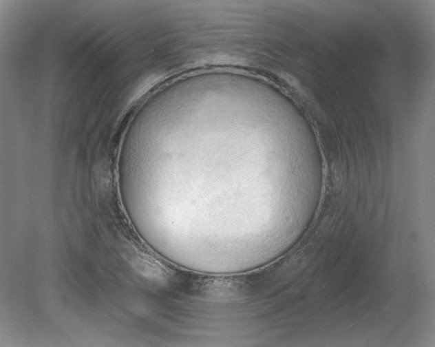 X0000078231266200611101000