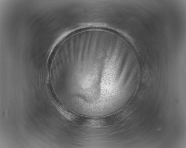 X0000078231271200611101000